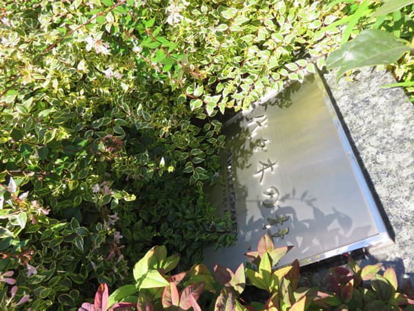 ファミールグラン代々木の杜 8