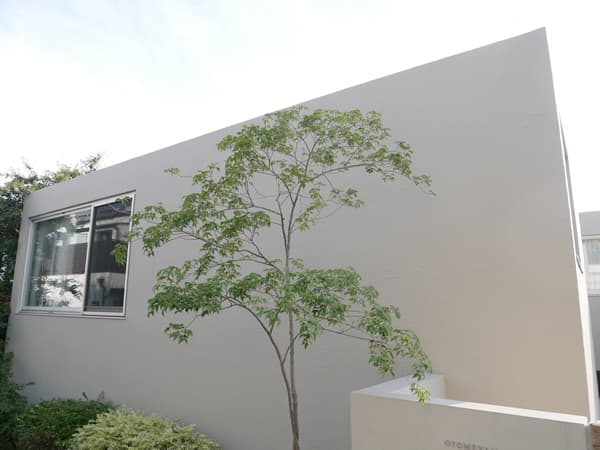 バウス目白御留山 4