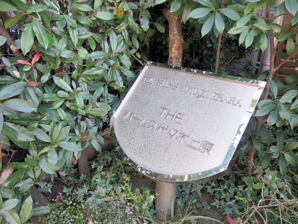 ザ・パームス代々木上原 7