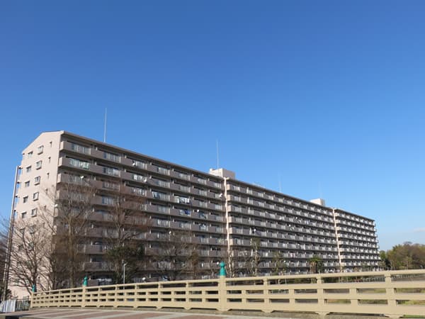 湘南サザン260 1