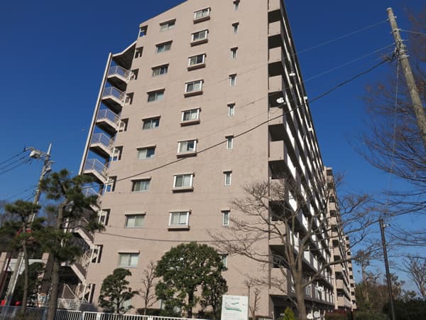 湘南サザン260 2