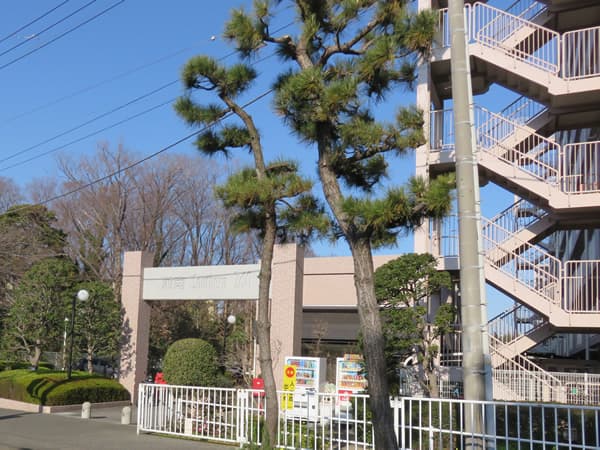 湘南サザン260 3