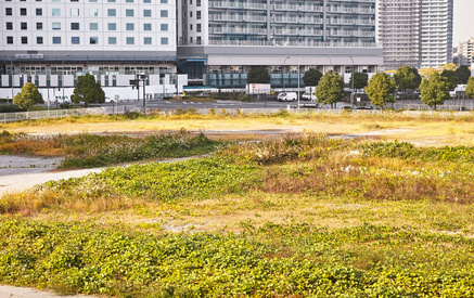 東京23区不動産価格への影響は？2022年生産緑地問題のおさらい
