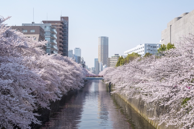 2020年最新版｜東京都目黒区の賃貸マンション相場はいくら？各地の賃料相場をAIで調査しました