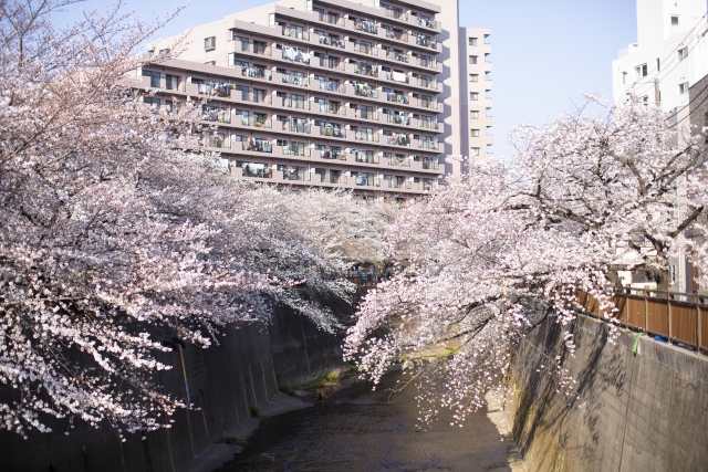 2020年最新版｜東京都板橋区の賃貸マンション相場はいくら？各地の賃料相場をAIで調査しました